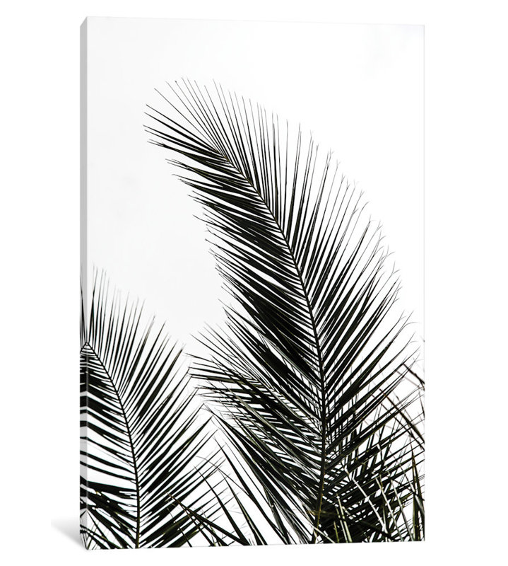 East Urban Home 'Palm Leaves I' Graphic Art Print on Canvas & Reviews